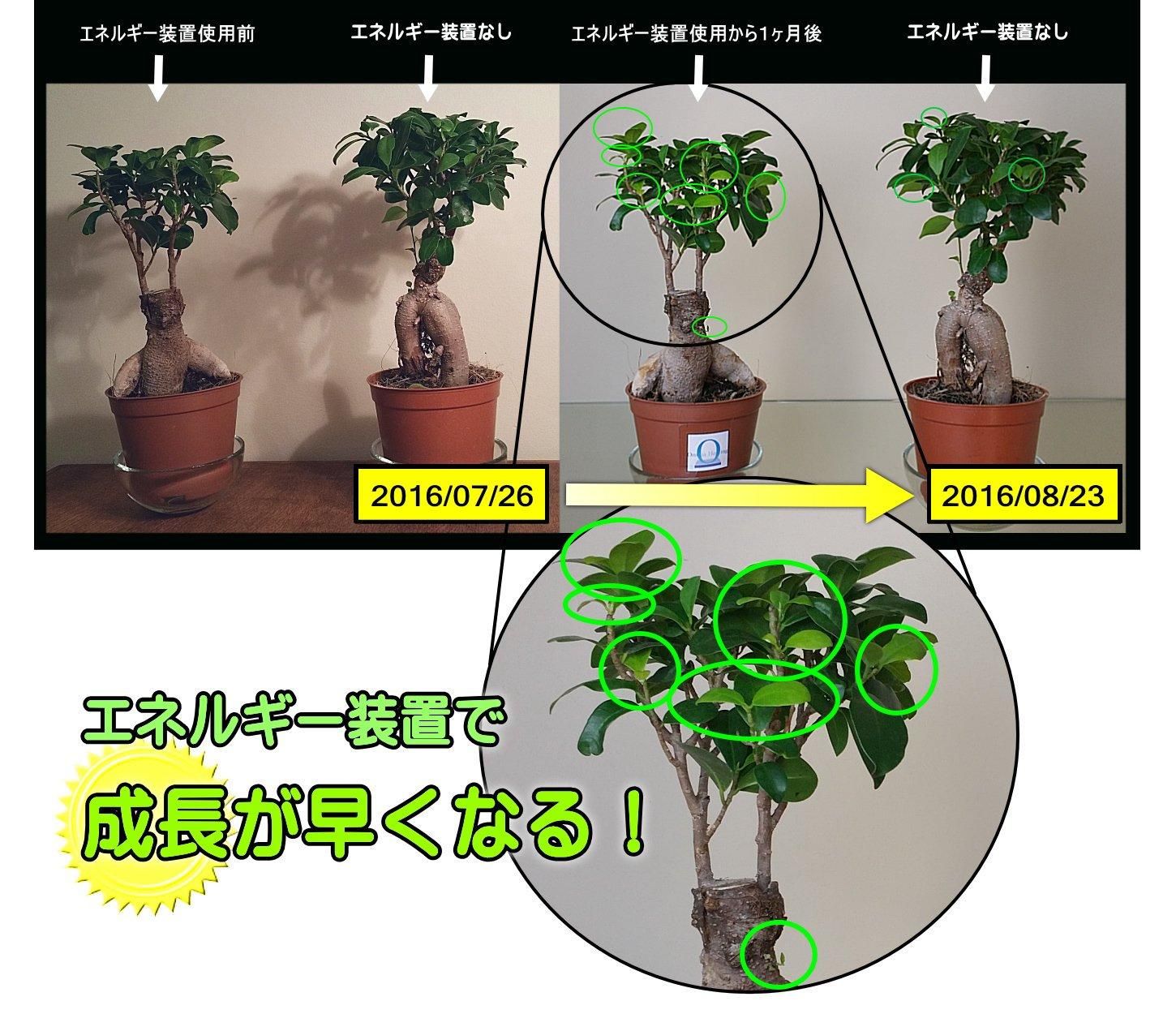 【更新割引有】究極のセッション・不倫関係の破壊!5ヶ月のサイキックヒーリング 【更新割引有】究極のセッション・不倫関係の破壊!5ヶ月のサイキックヒーリング